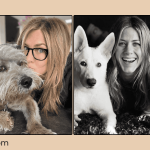 Hollywood Female Stars Who Have Pets Celebrities and Their Furry Companions