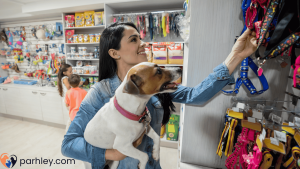 Looking to start a pet business Explore 50+ profitable pet business ideas in 2025, from grooming and training to pet products and online opportunities. Find the perfect pet venture today!
