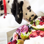 Which Fruits Are Safe for Dogs?