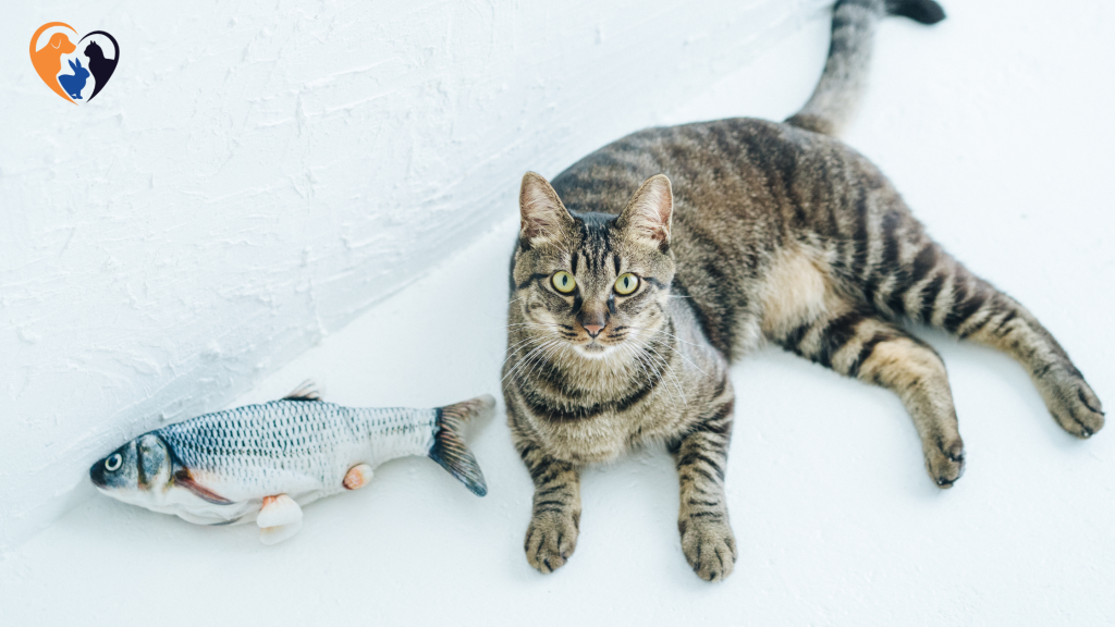 What Fish Can Cats Eat Safely?