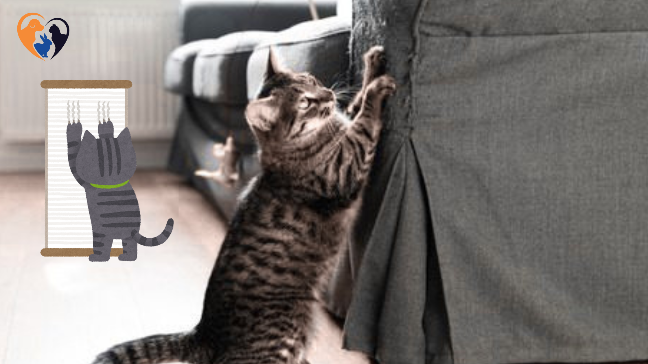 Why Cats Scratch Furniture: Causes & Easy Ways to Stop It