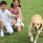 Best Dog Breeds for Families