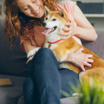 Pet Wellness Routine