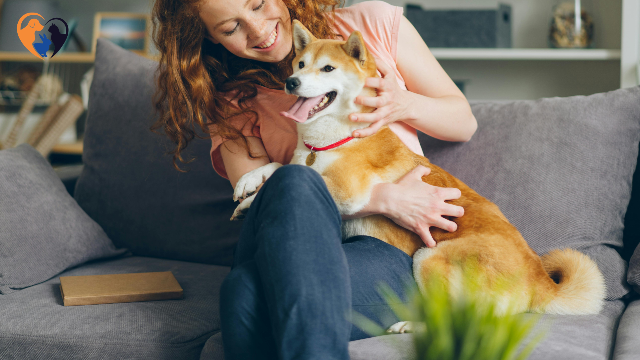 Pet Wellness Routine